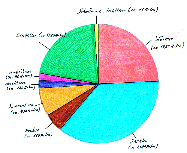 Tortengrafik